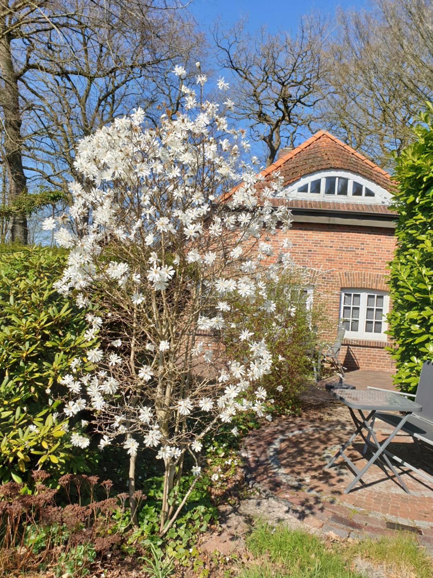 ווסטרשטדה Ferienwohnung Gartenblick מראה חיצוני תמונה